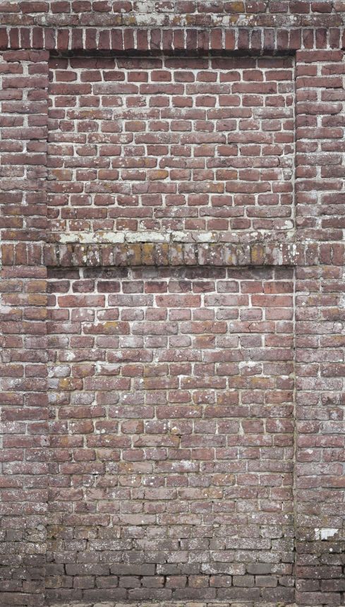 Fototapete - Ziegelmauer, Ziegel  A42901, 159 x 280 cm, Designer, Murals, Grandeco