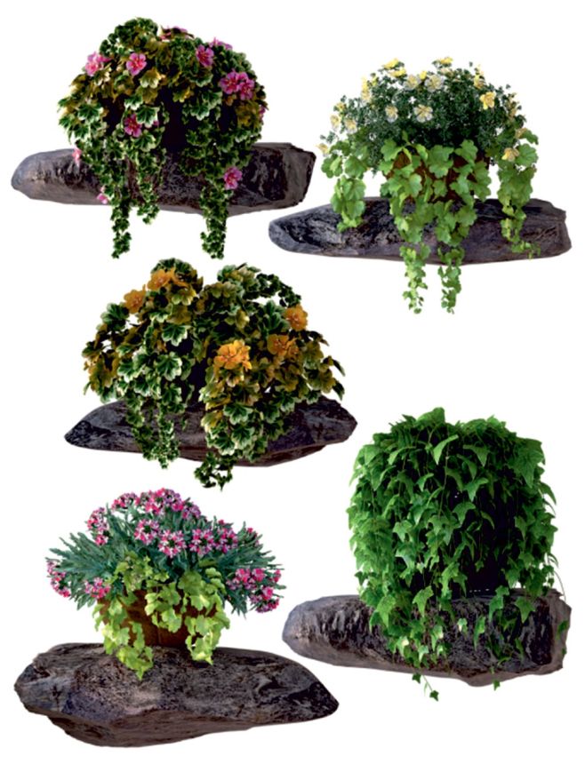 Selbstklebende Wanddekoration F 1070, Blumen auf Steinen, AG Design