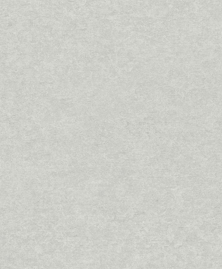 Graue Tapete, Putzimitat, A65602, Vavex 2025