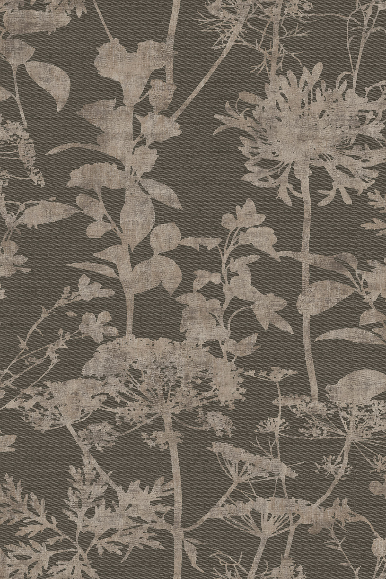 Braune Vliestapete, Natur, Gräser, 121434, New Eden, Graham&Brown Premium