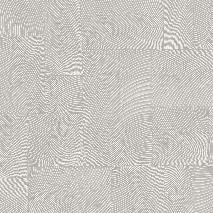 Graue geometrische Vliestapete, A71501, Vavex 2026