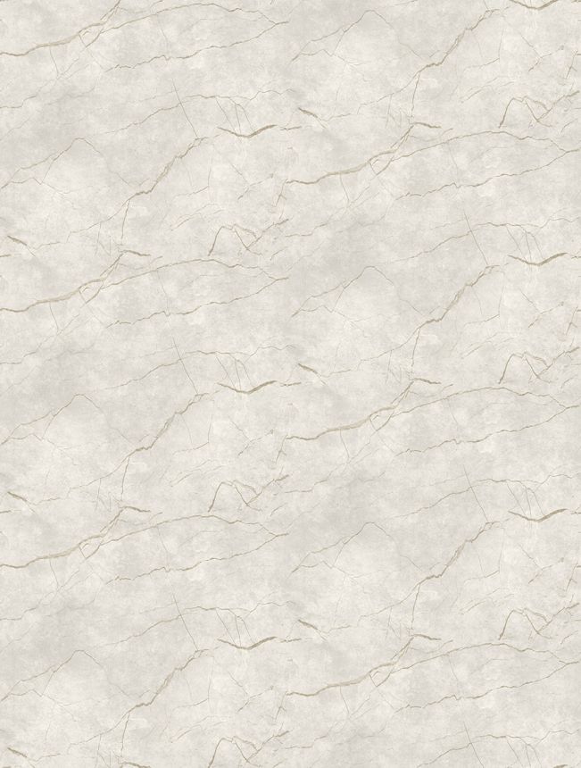 Vlies-Fototapete, grau-beige, Marmor, FW4060-1, Feature Walls, Decoprint
