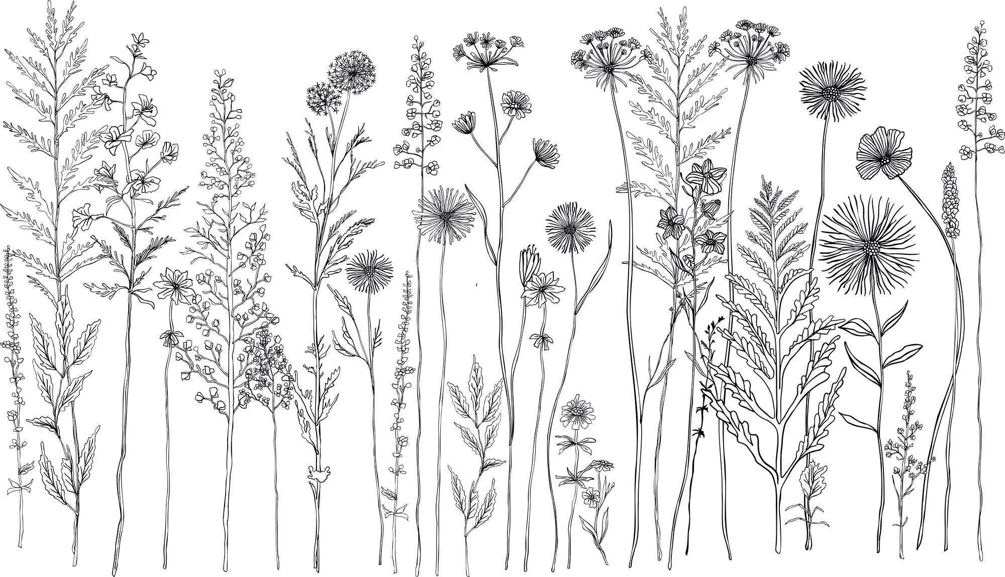 Vlies-Fototapete nach Maß, Wiesenblumen, 10164, Vavex