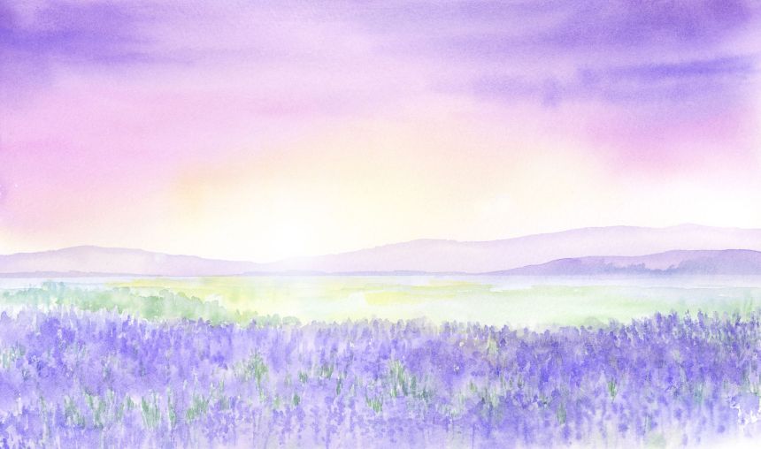 Vlies-Fototapete nach Maß, Aquarell Lavendelfeld, 10168, Vavex