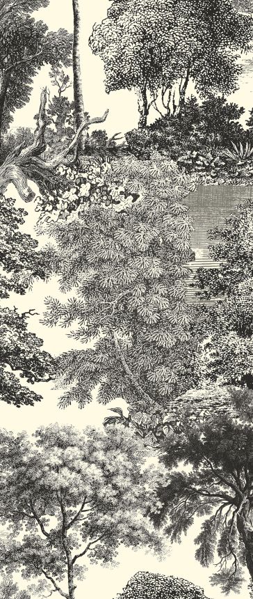 Fototapete, schwarz, Wald, Bäume, DGSAL1012-260, Amazone, Masureel