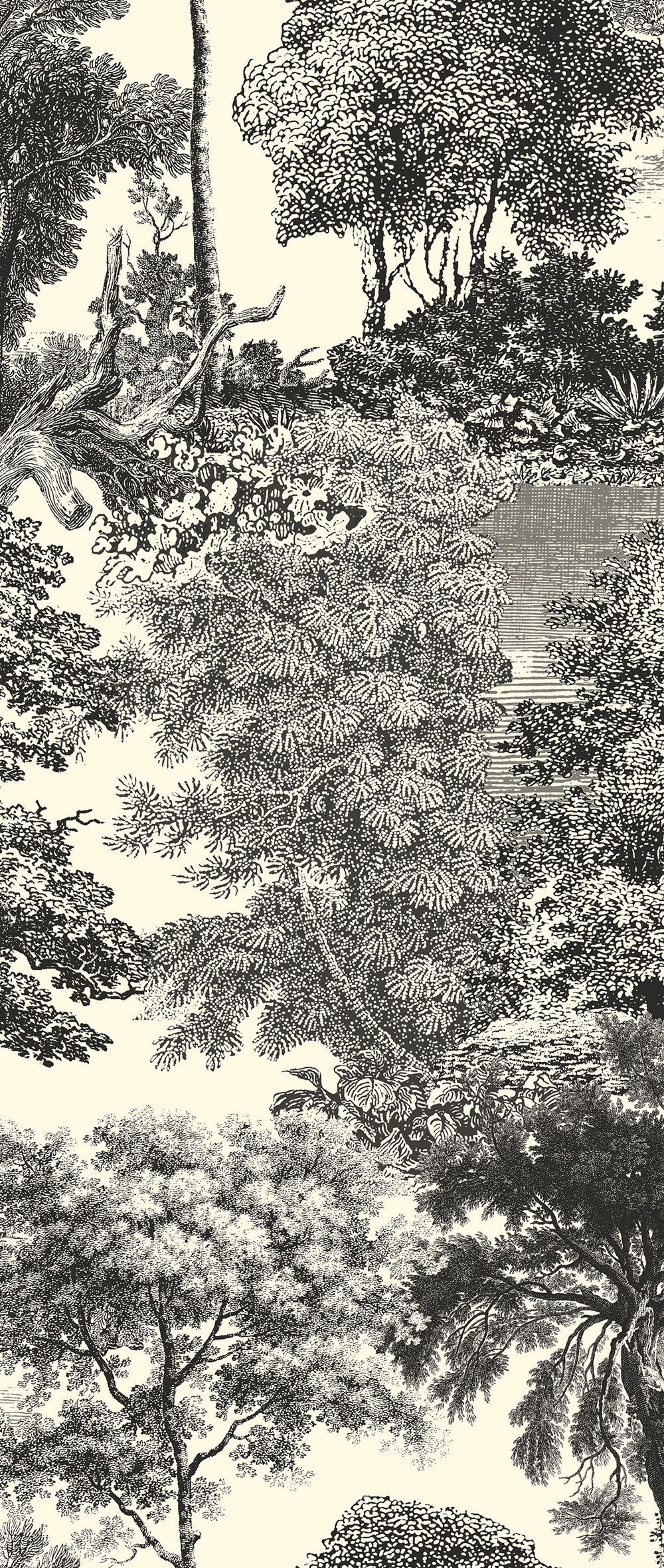 Fototapete, schwarz, Wald, Bäume, DGSAL1014-260, Amazone, Masureel