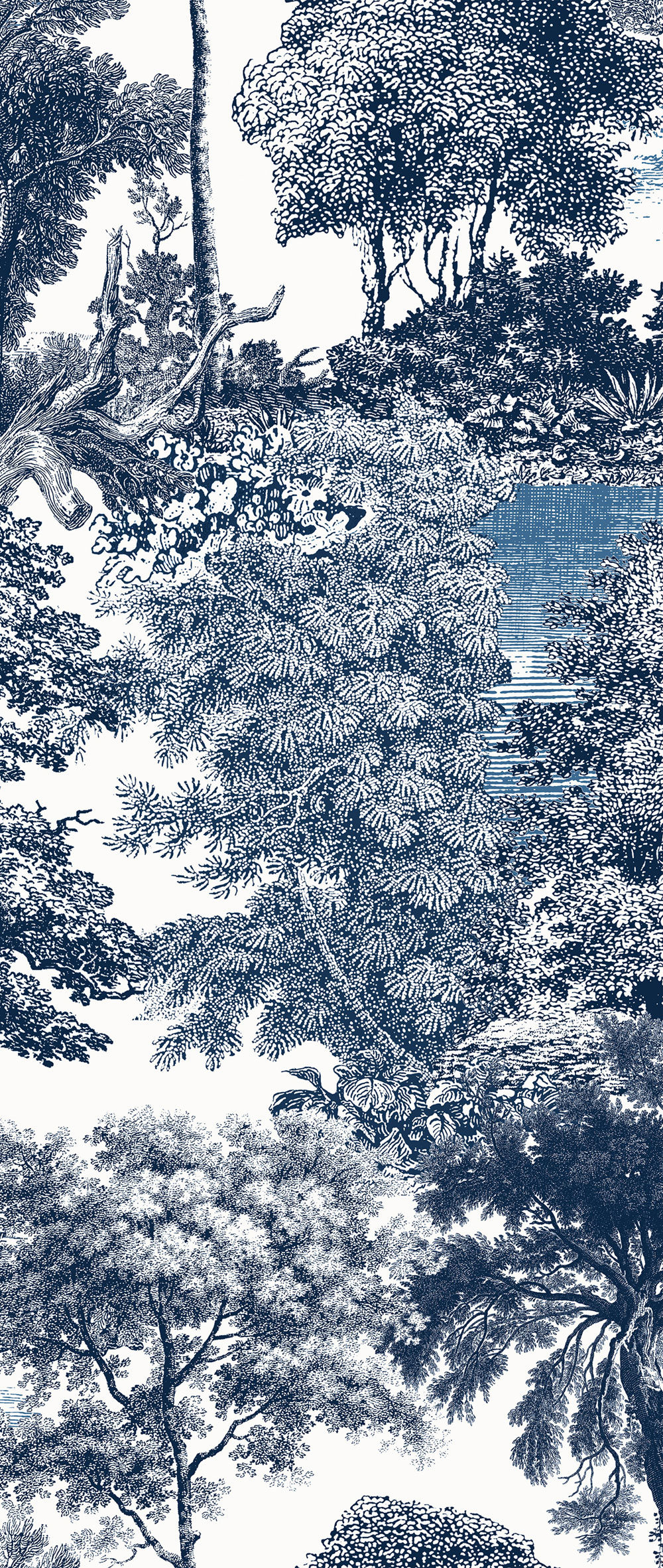Fototapete, blau, Wald, Bäume, DGSAL1024-260, Amazone, Masureel