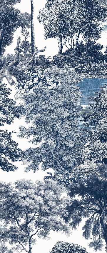 Fototapete, blau, Wald, Bäume, DGSAL1024-260, Amazone, Masureel