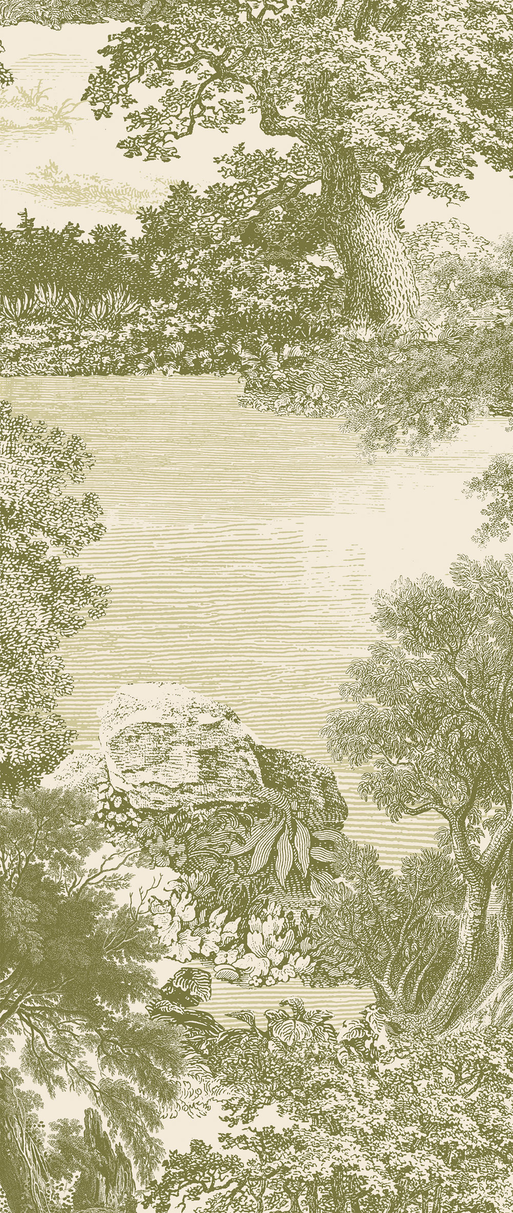 Fototapete, grün, Wald, Bäume, DGSAL1031-300, Amazone, Masureel