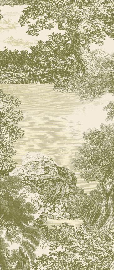 Fototapete, grün, Wald, Bäume, DGSAL1031-300, Amazone, Masureel