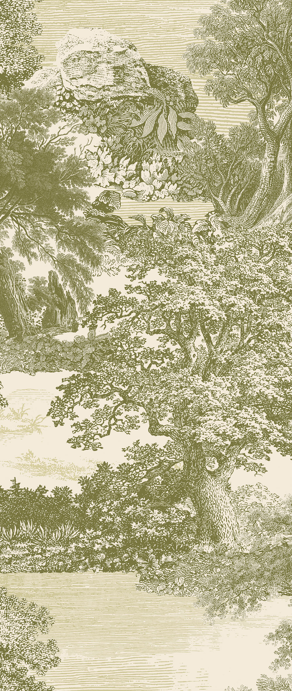 Fototapete, grün, Wald, Bäume, DGSAL1033-260, Amazone, Masureel