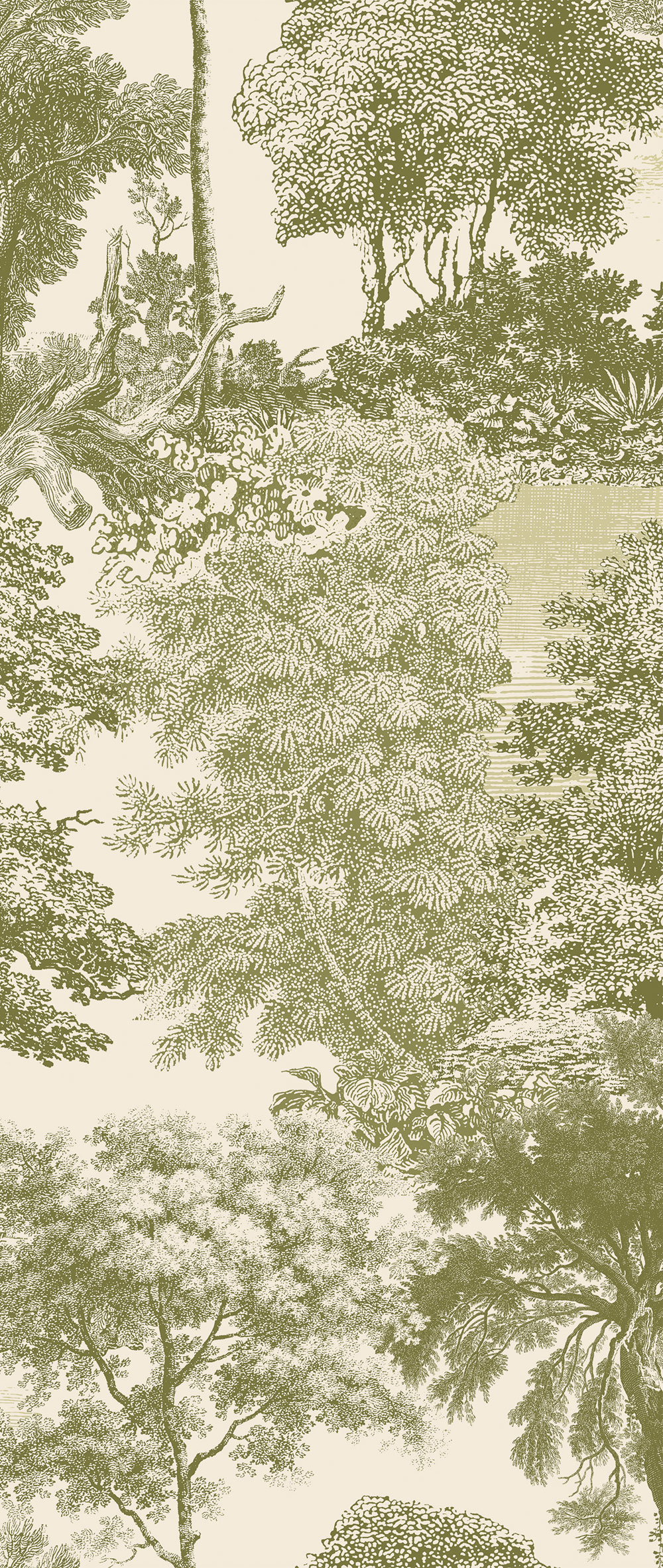 Fototapete, grün, Wald, Bäume, DGSAL1034-300, Amazone, Masureel
