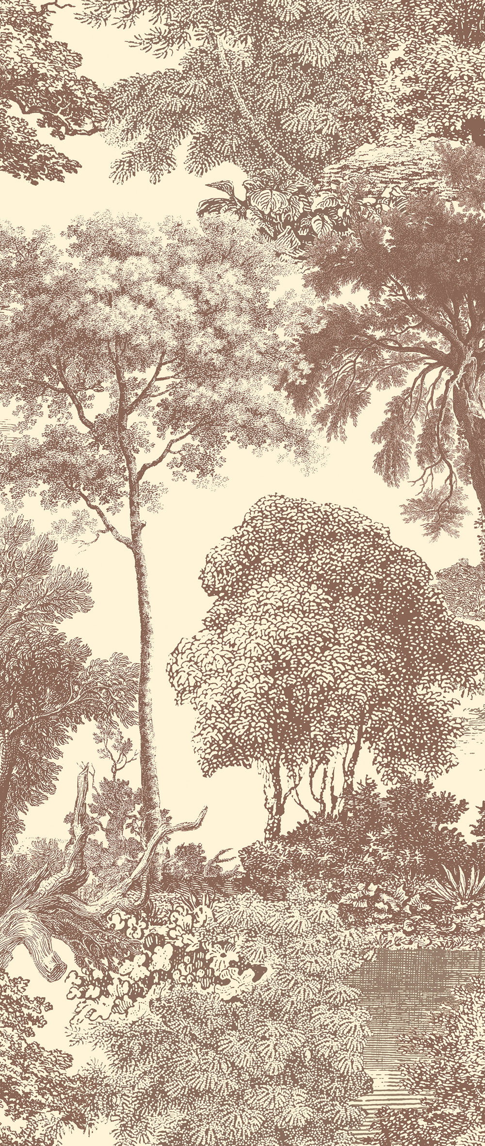 Fototapete, braun, Wald, Bäume, DGSAL1042-300, Amazone, Masureel