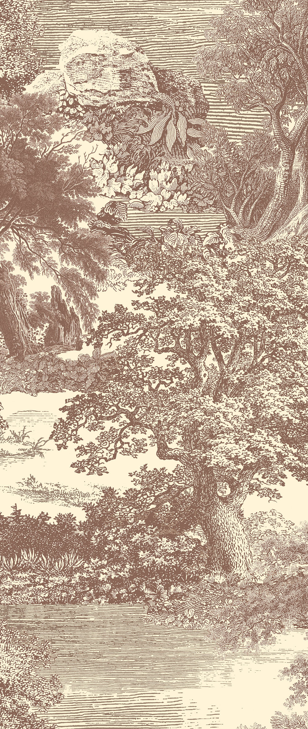 Fototapete, braun, Wald, Bäume, DGSAL1043-260, Amazone, Masureel