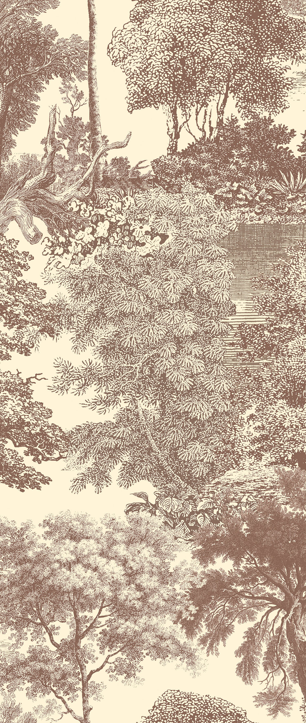 Fototapete, braun, Wald, Bäume, DGSAL1044-300, Amazone, Masureel