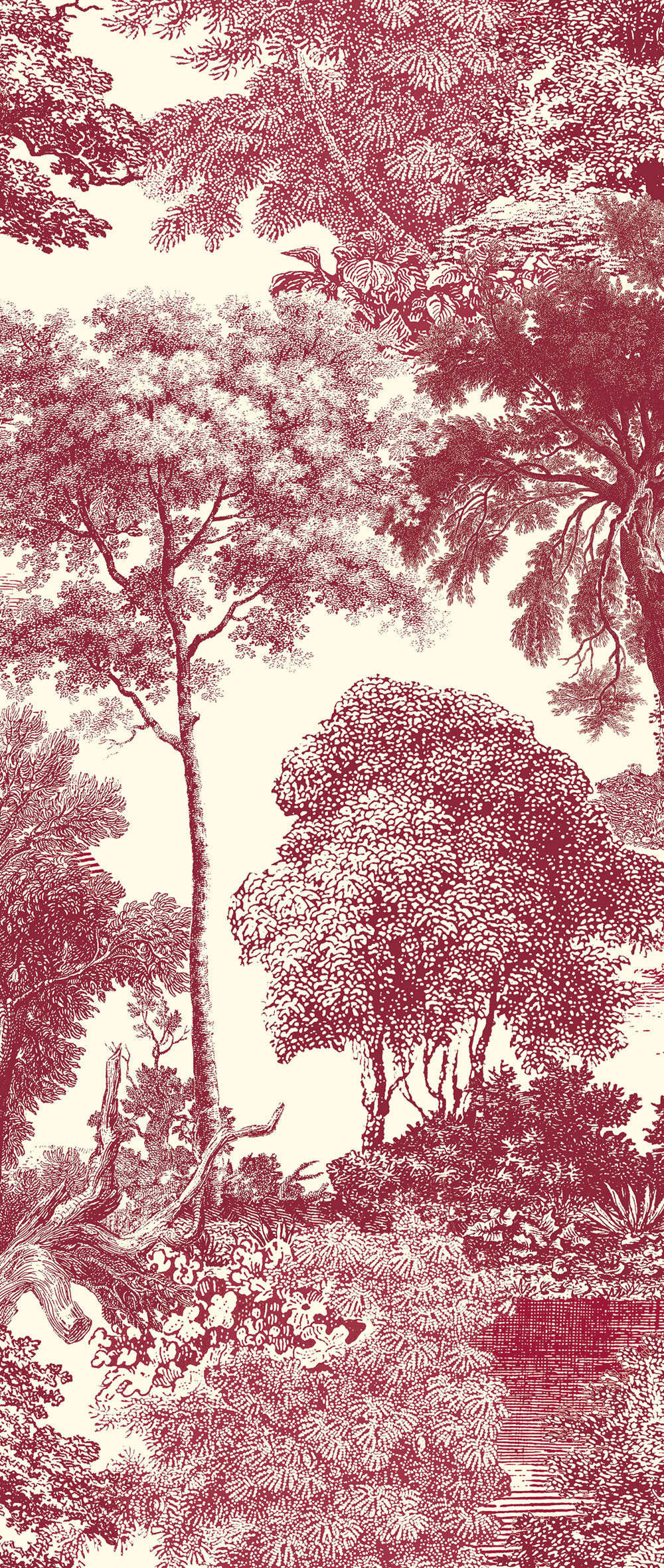 Fototapete, rot, Wald, Bäume, DGSAL1052-260, Amazone, Masureel