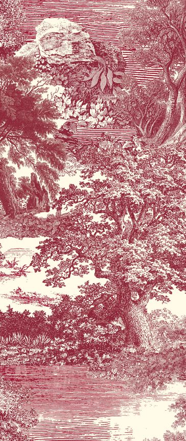 Fototapete, rot, Wald, Bäume, DGSAL1053-260, Amazone, Masureel