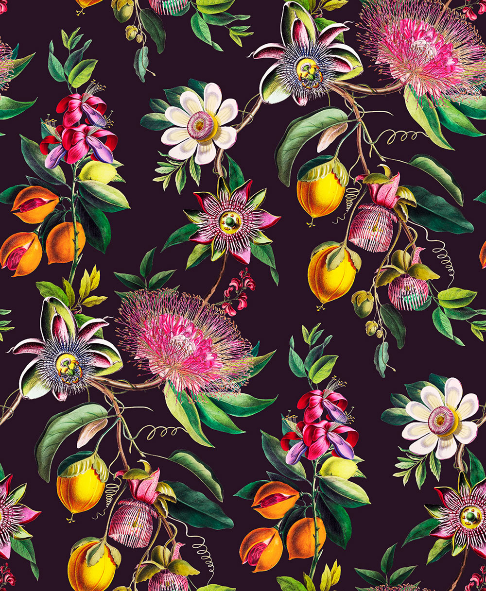 Tapete, schwarz, Blumen, Passionsblume, 127920, Arboretum, Graham Brown Premium