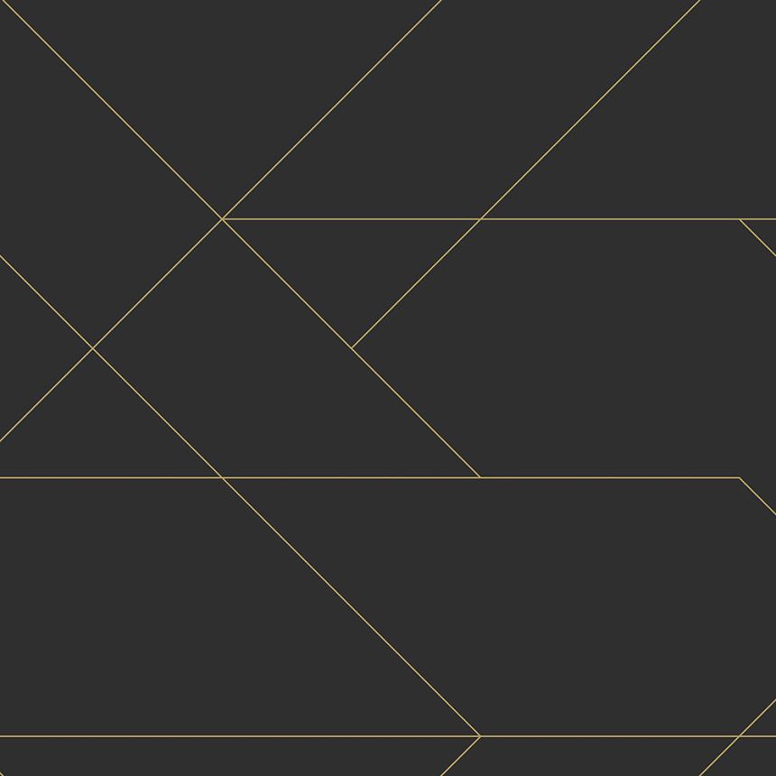 Schwarze Vliestapete mit goldenen Linien 139144, Black & White, Esta