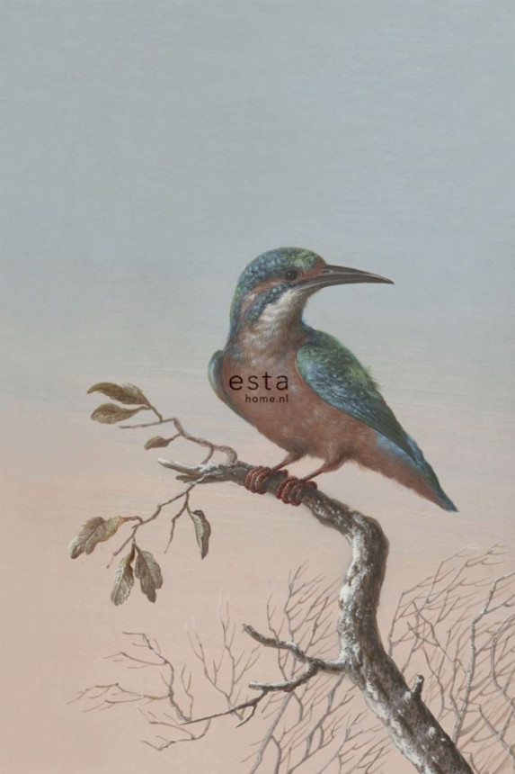 Fototapete, Eisvogel, Tapete Wandbilder 158888, 186 x 279 cm, Blush, Esta Home