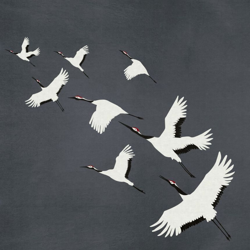 Graue Fototapete Vögel im Flug, Vliestapete wandbilder 357235, 300 x 300 cm, Natural Fabrics, Origin